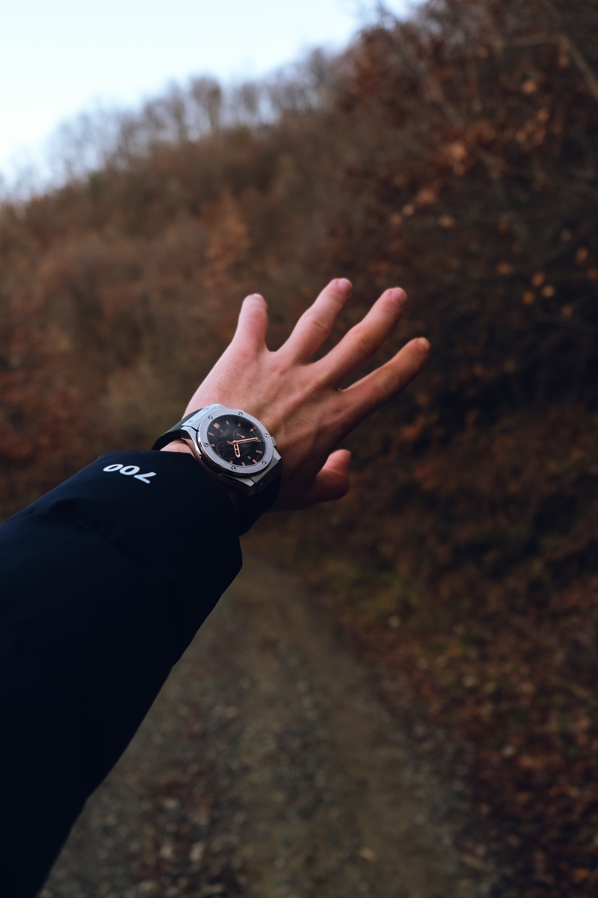 A wristwatch held over a wooded dirt trail in autumn. Photo by Marsel_Shots via Pexels.