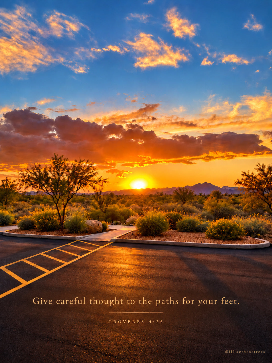 Arizona desert sunset over a crosswalk leading to a desert pathway, with the text 'Give careful thought to the paths for your feet — Proverbs 4:26' and an @ilikethosetrees watermark